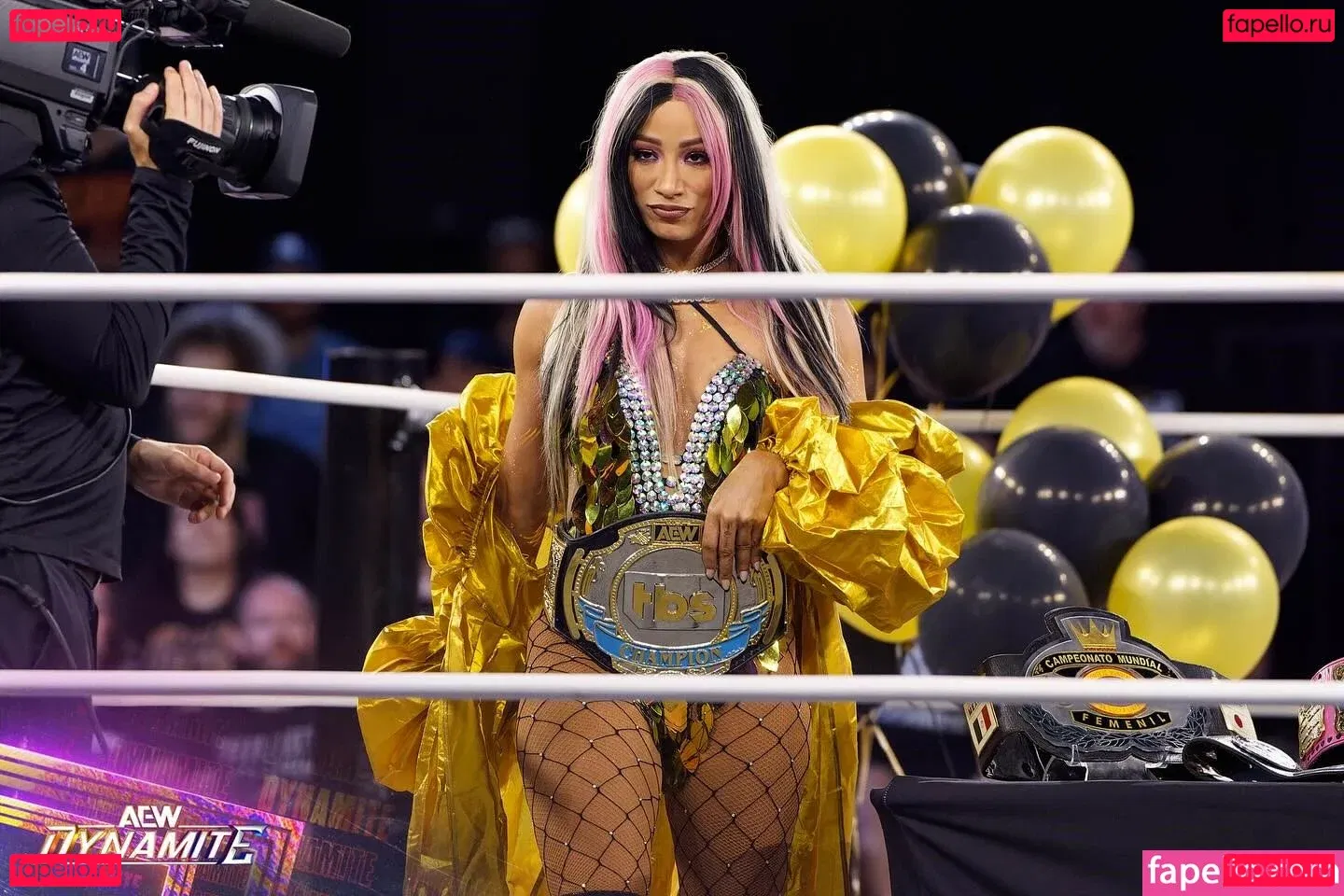 Sasha Banks Onlyfans Photo Gallery 