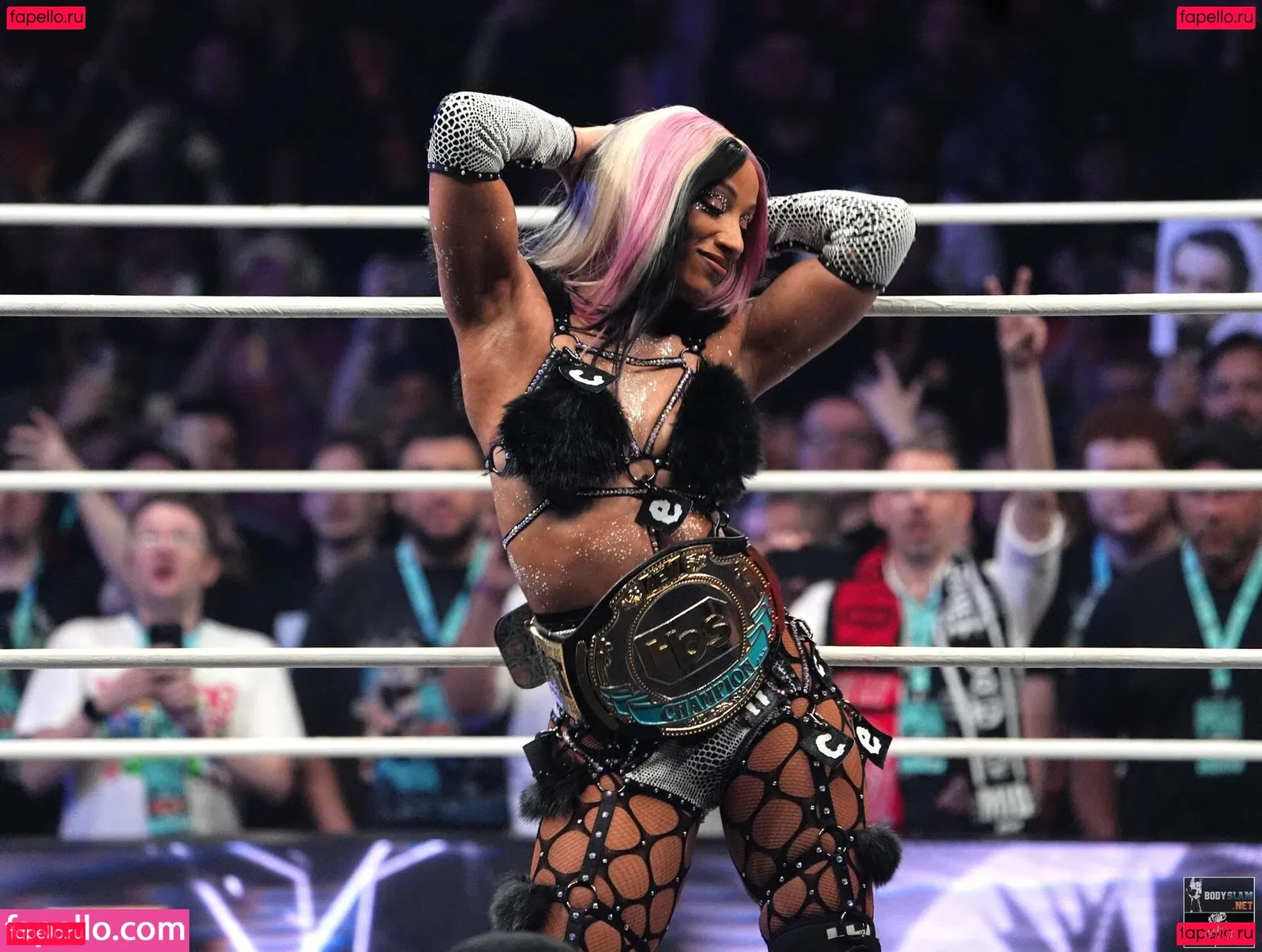 Sasha Banks Onlyfans Photo Gallery 