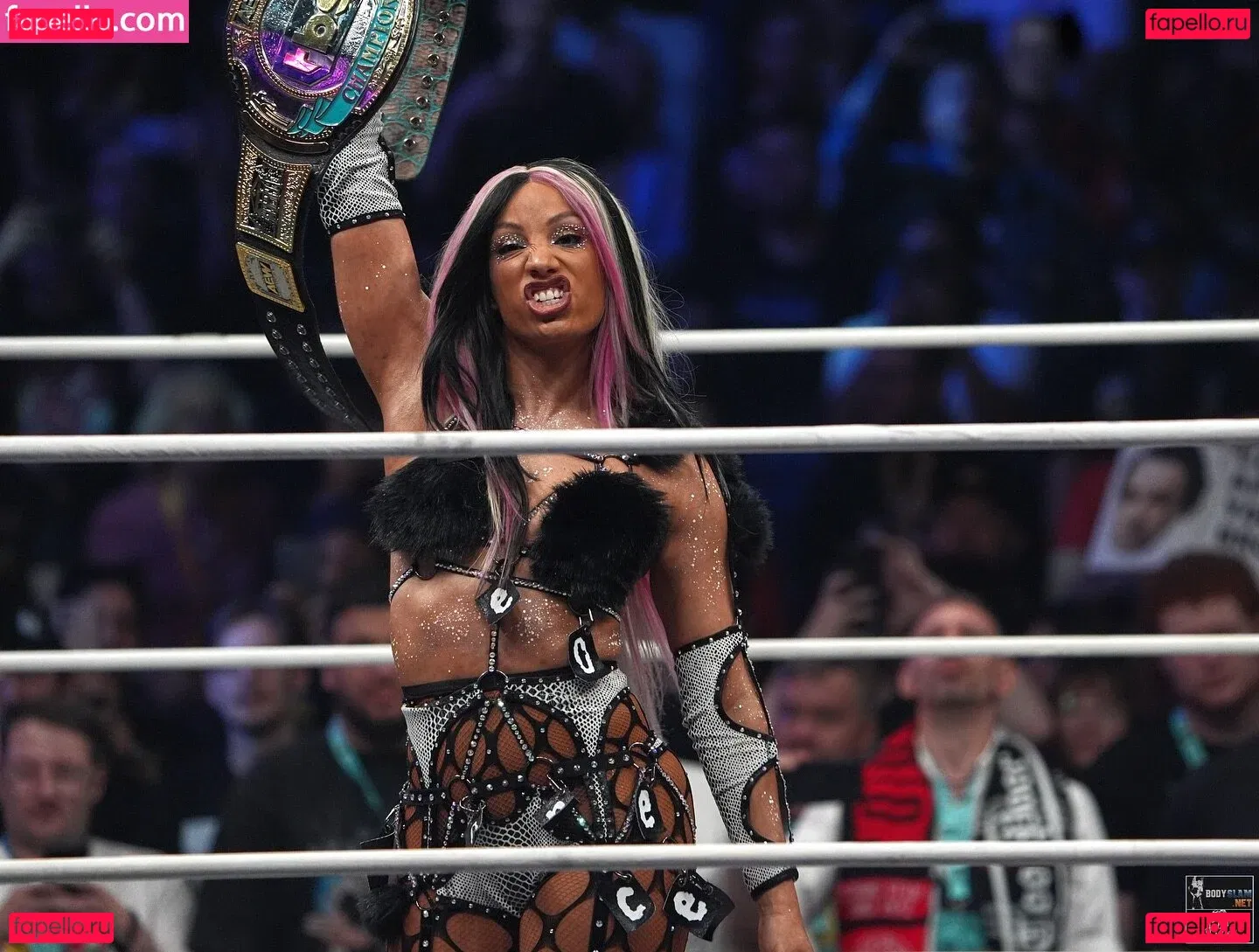 Sasha Banks Onlyfans Photo Gallery 