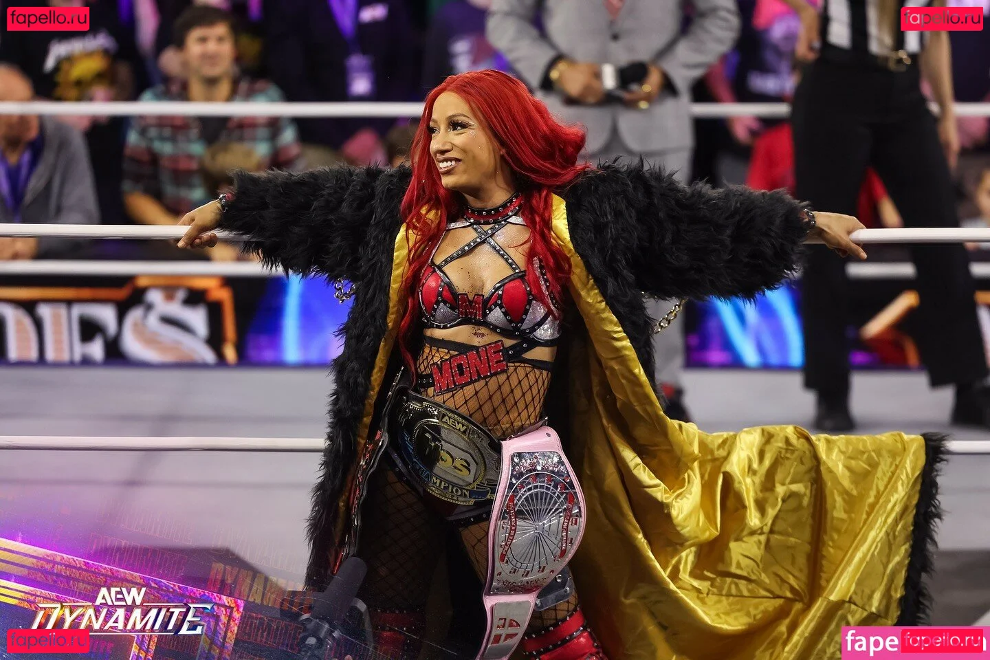 Sasha Banks Onlyfans Photo Gallery 