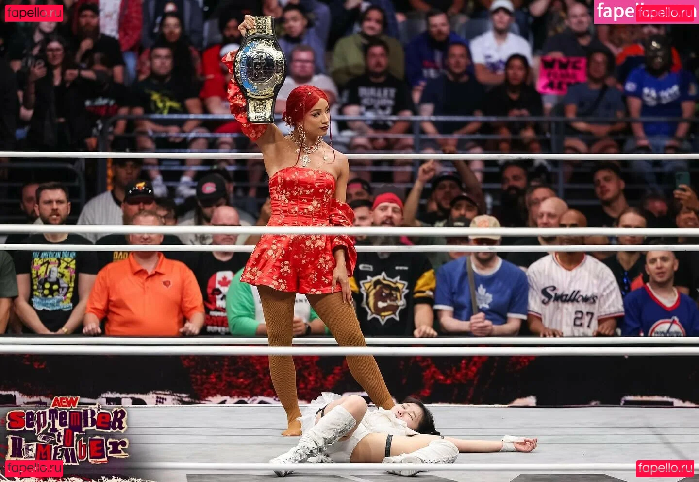 Sasha Banks Onlyfans Photo Gallery 