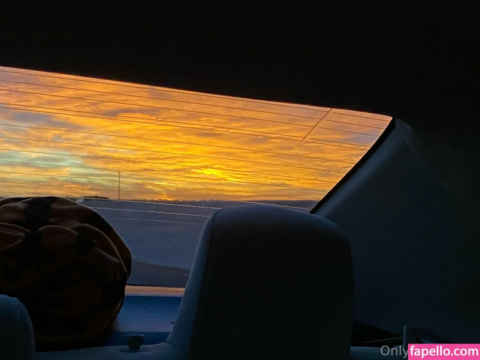 stellarstella Onlyfans Photo Gallery 