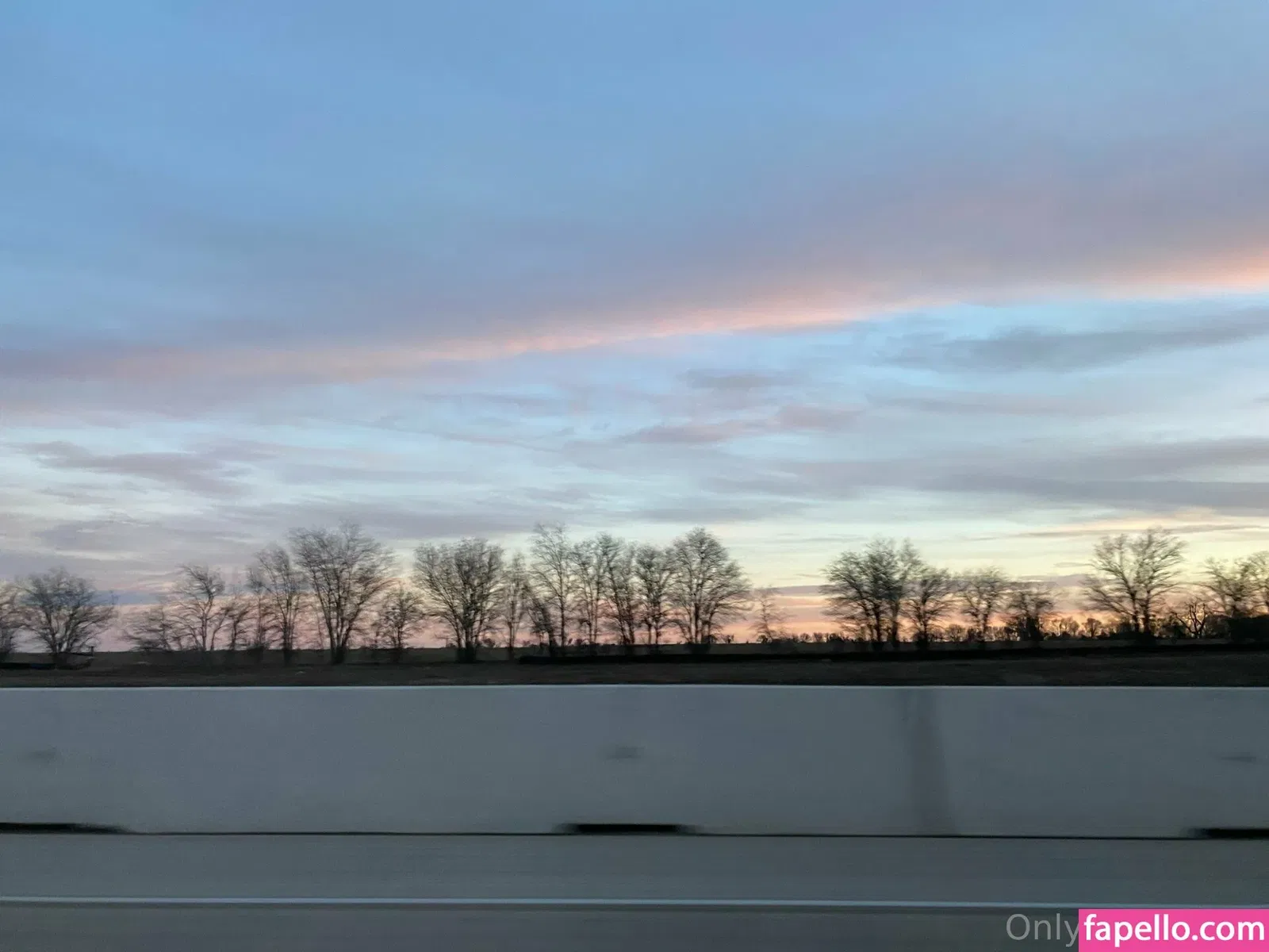 stellarstella Onlyfans Photo Gallery 