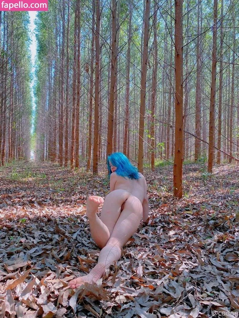 codon_sg Onlyfans Photo Gallery 