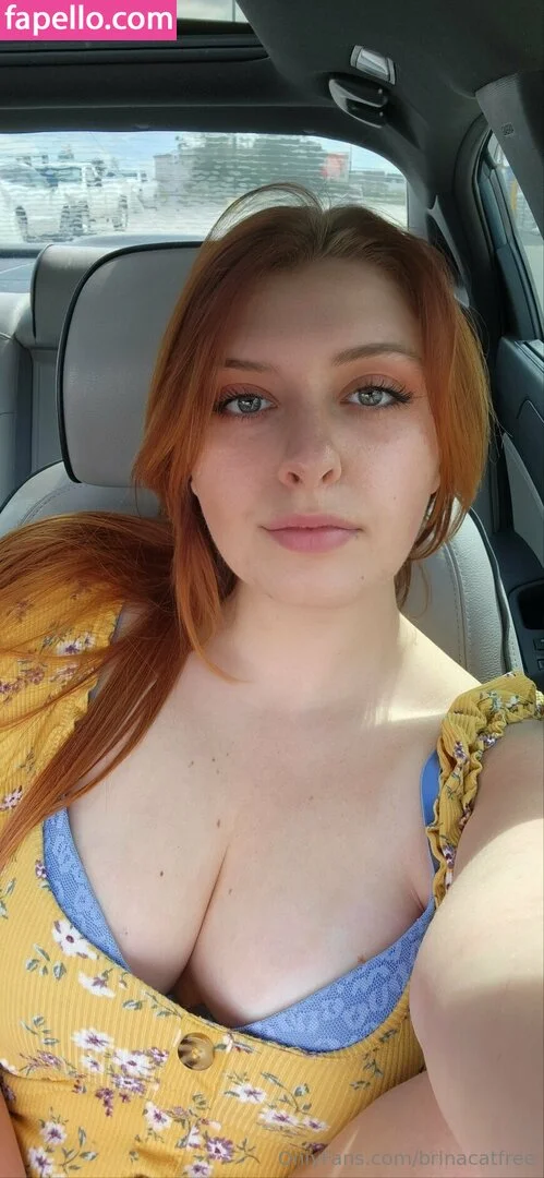 brinacatfree Onlyfans Photo Gallery 