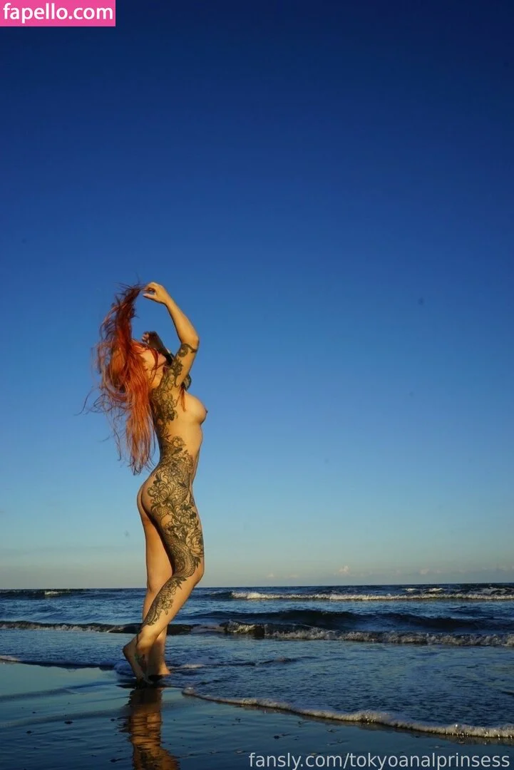 Tokyo Anal Princess Onlyfans Photo Gallery 