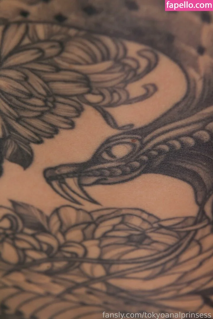 Tokyo Anal Princess Onlyfans Photo Gallery 