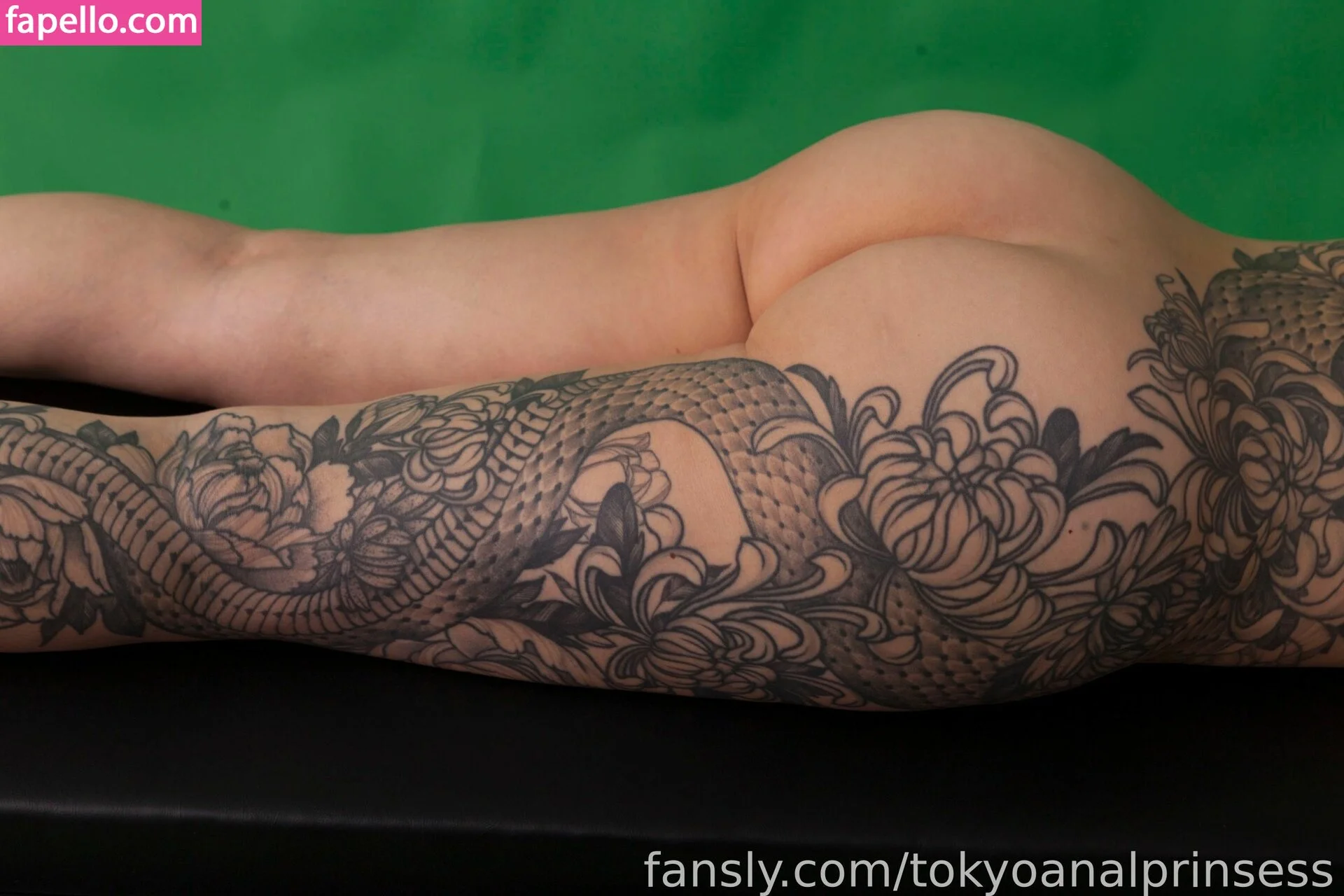 Tokyo Anal Princess Onlyfans Photo Gallery 