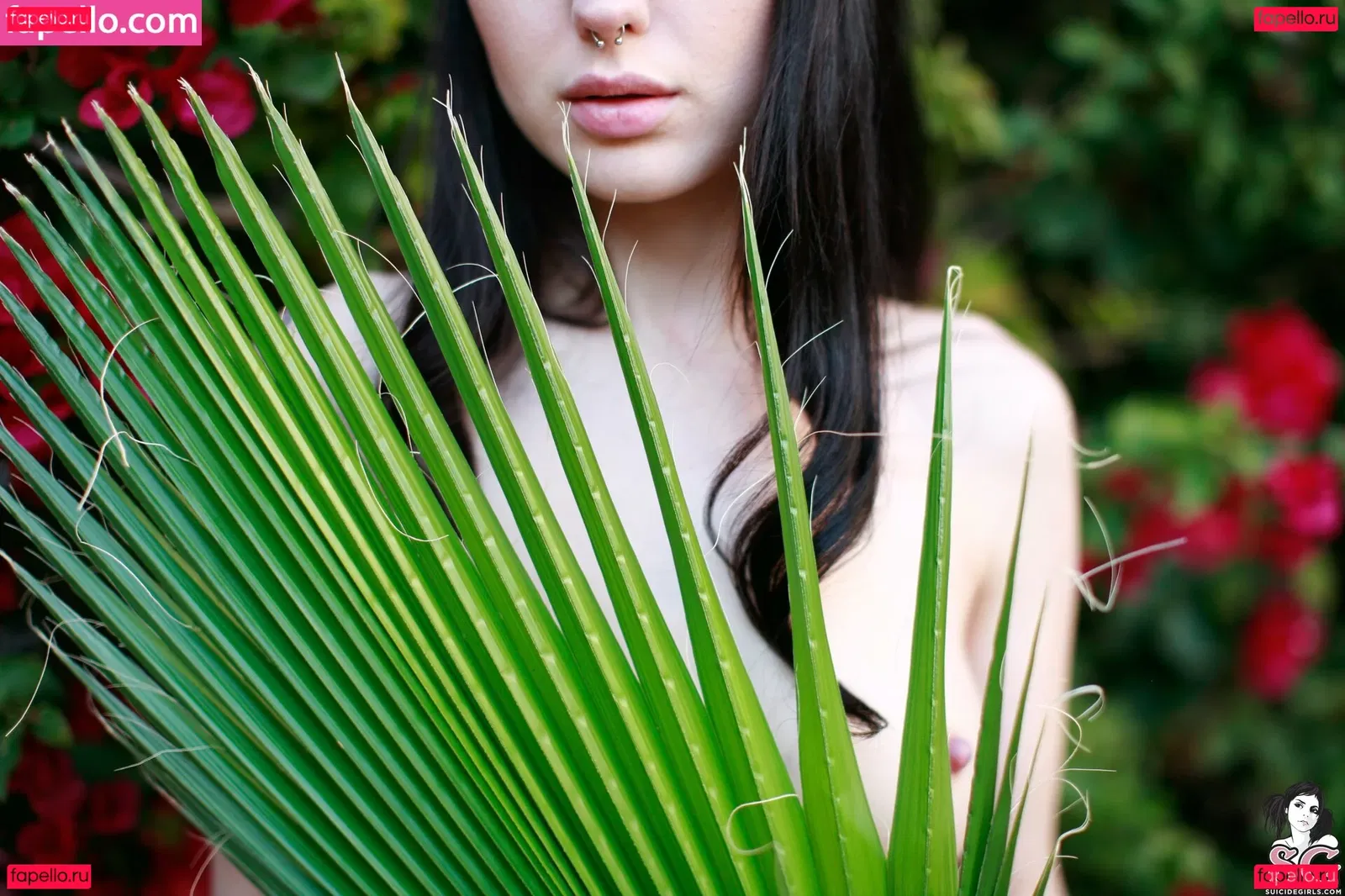 Anja Sangre Onlyfans Photo Gallery 