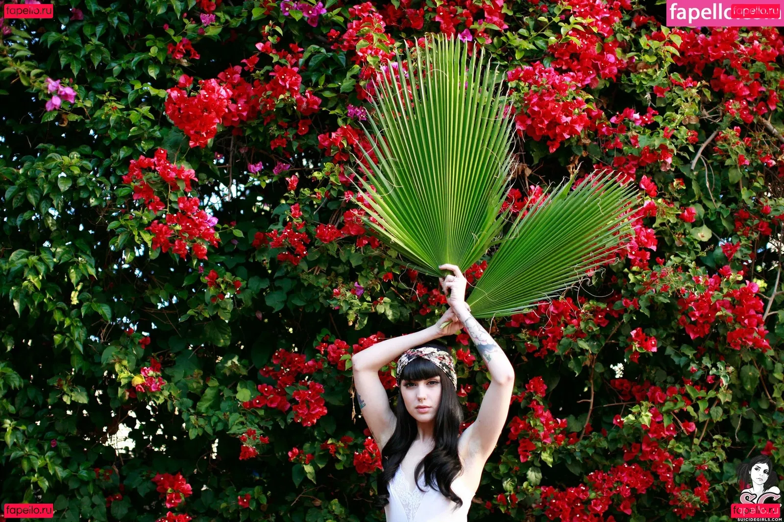 Anja Sangre Onlyfans Photo Gallery 