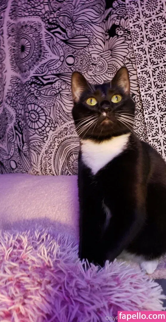 fleurelle Onlyfans Photo Gallery 