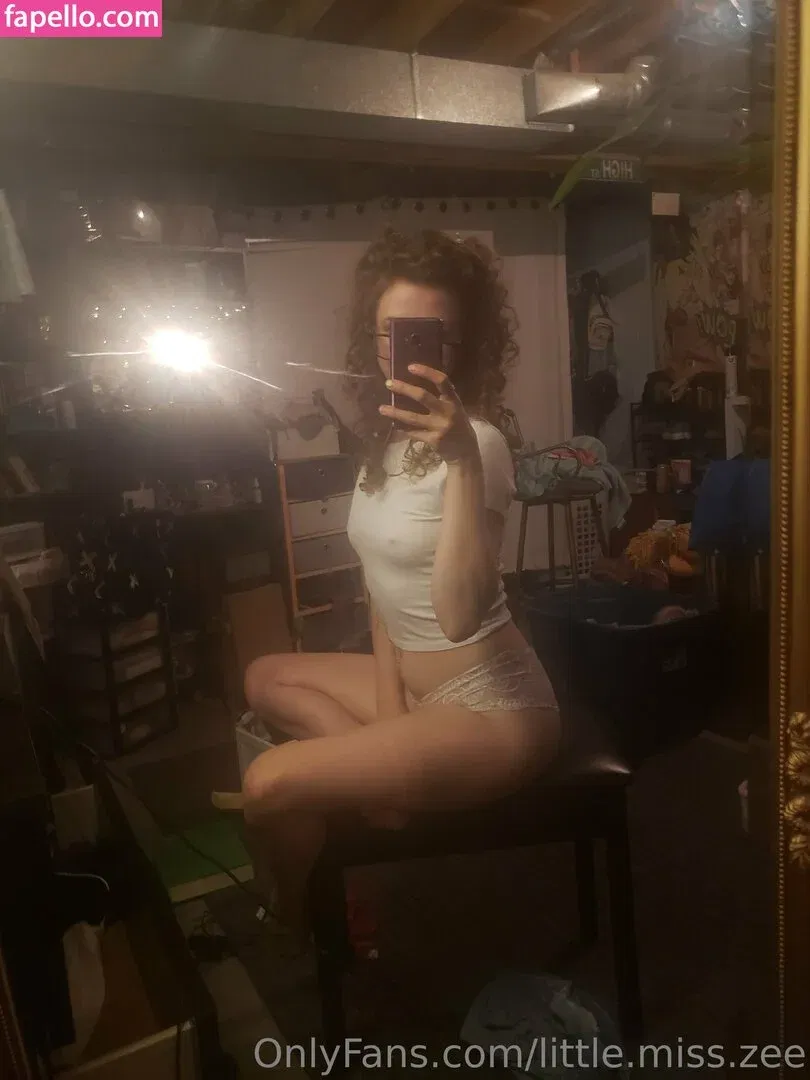 little.miss.zee Onlyfans Photo Gallery 