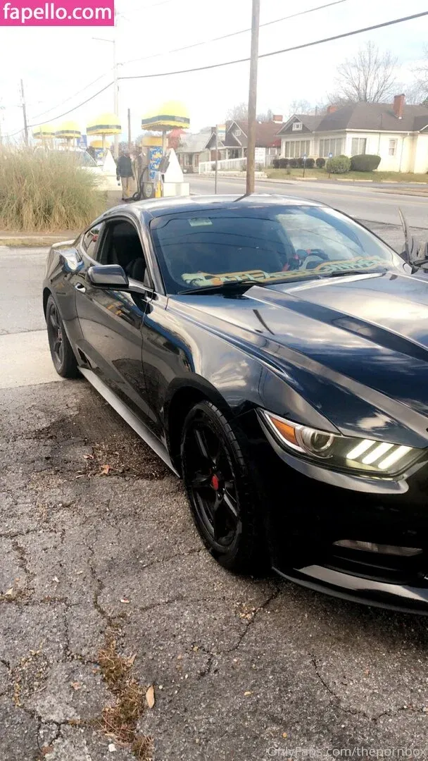 thepornbox Onlyfans Photo Gallery 