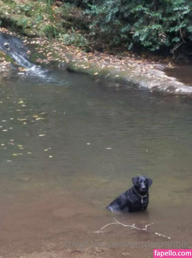 thatmtnguy Onlyfans Photo Gallery 