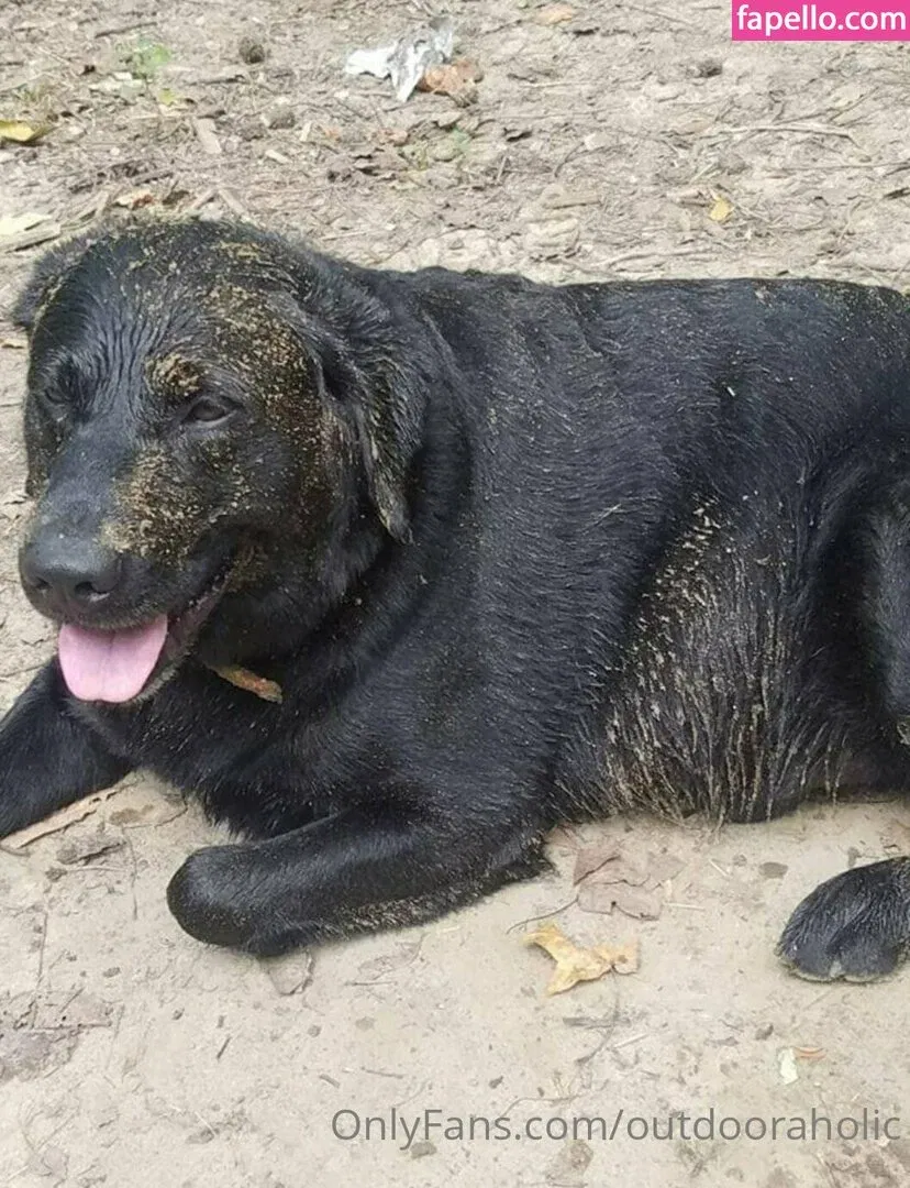 thatmtnguy Onlyfans Photo Gallery 