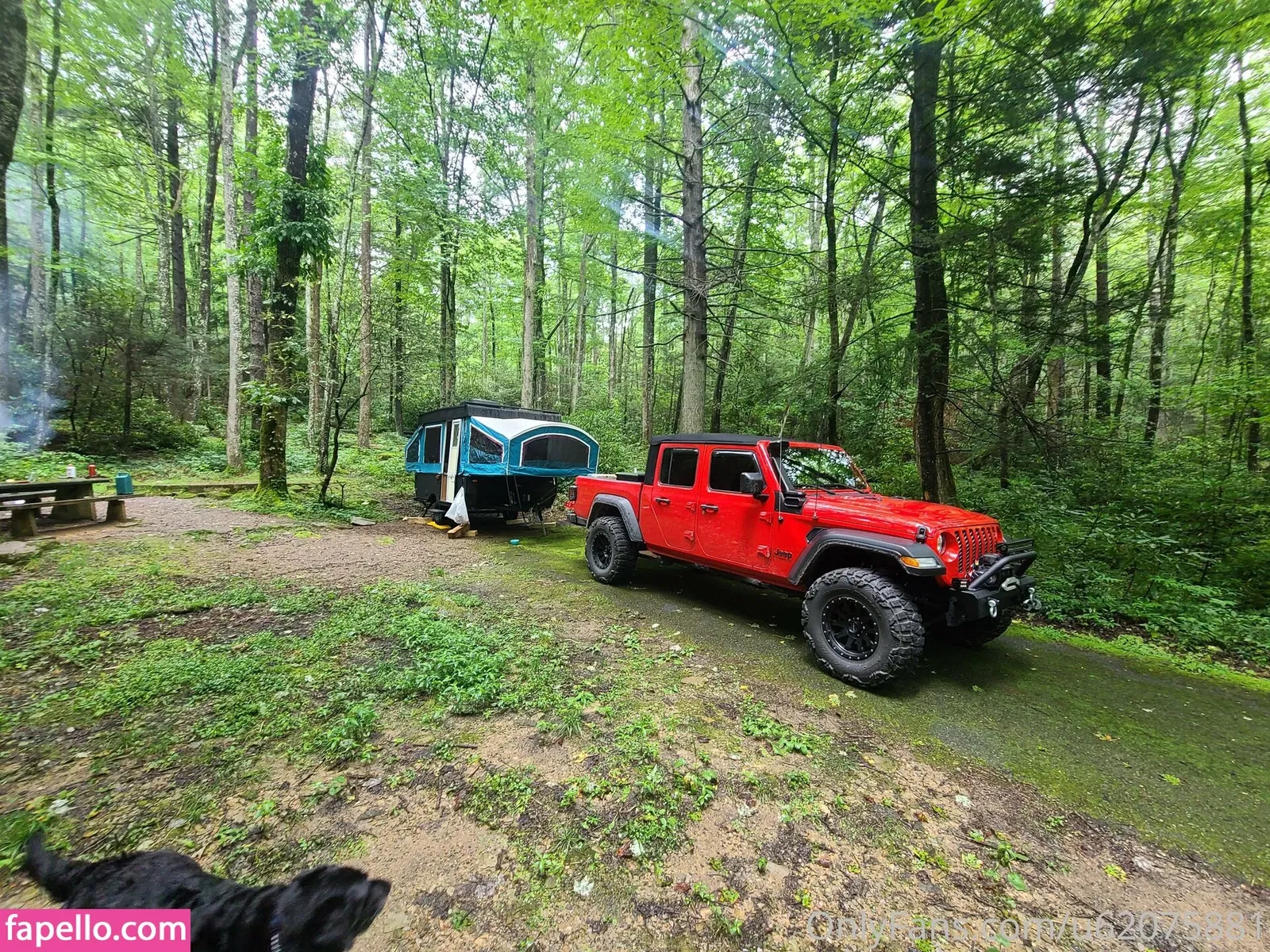 thatmtnguy Onlyfans Photo Gallery 