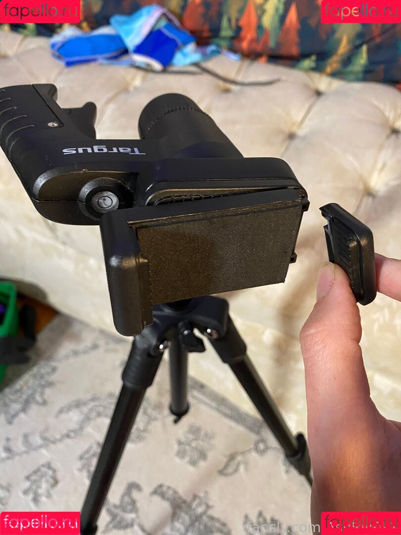 Ashley9k1 Onlyfans Photo Gallery 