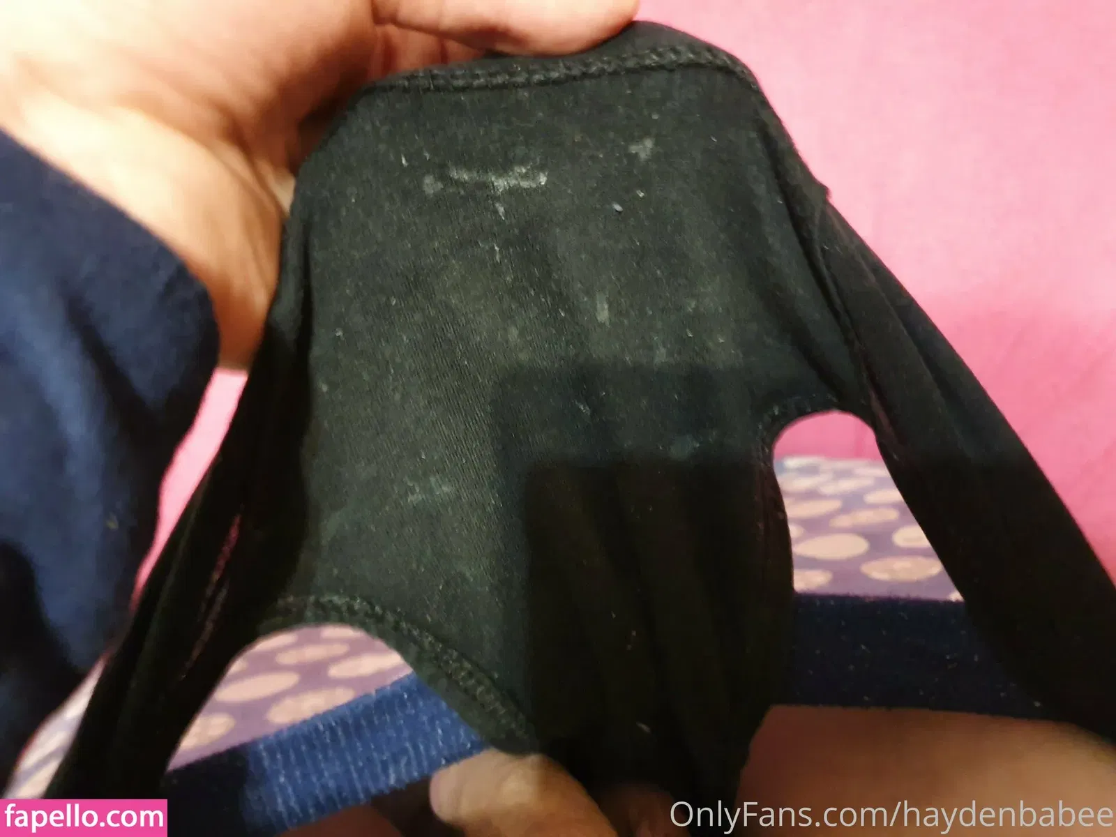 haydenbabee Onlyfans Photo Gallery 