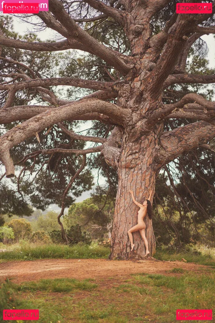 Tezz Tran Onlyfans Photo Gallery 