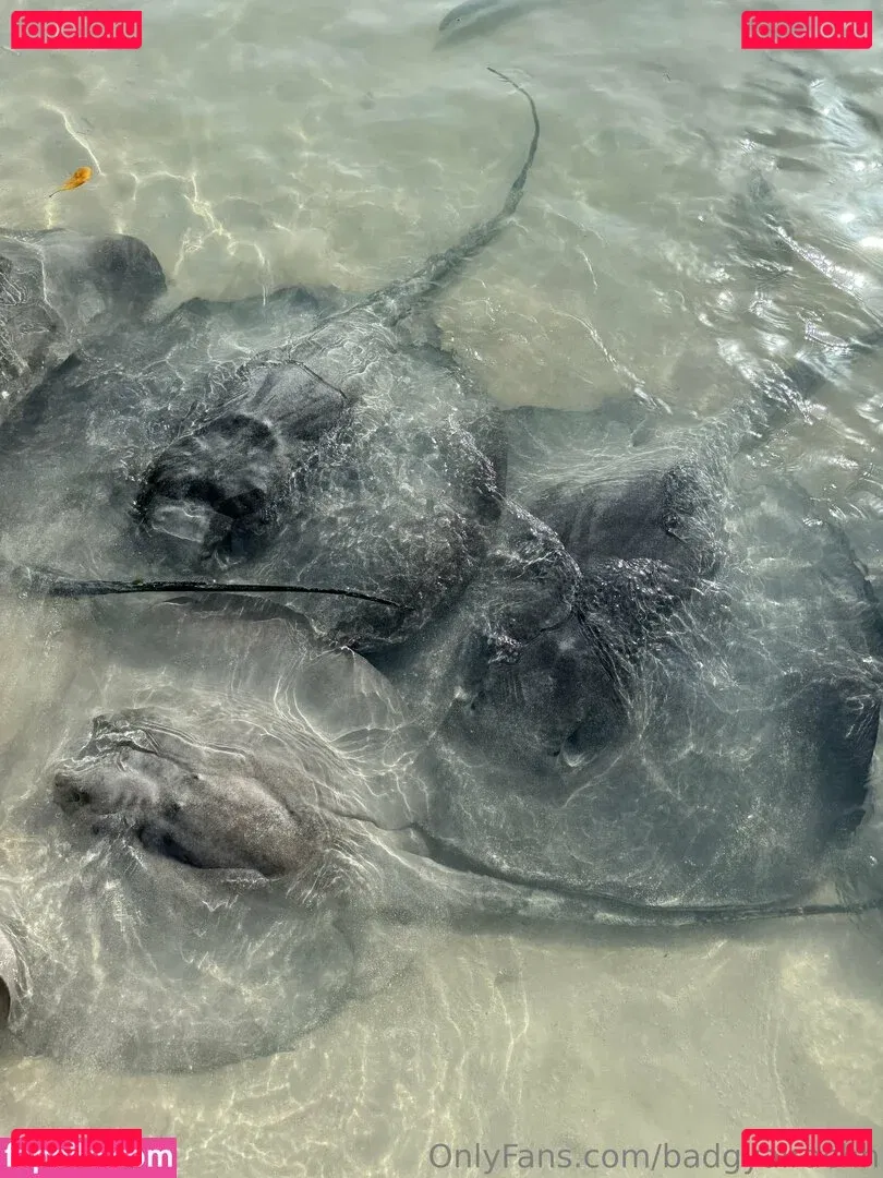 badgyalrachh Onlyfans Photo Gallery 