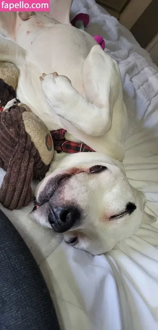 ablondinationvip Onlyfans Photo Gallery 