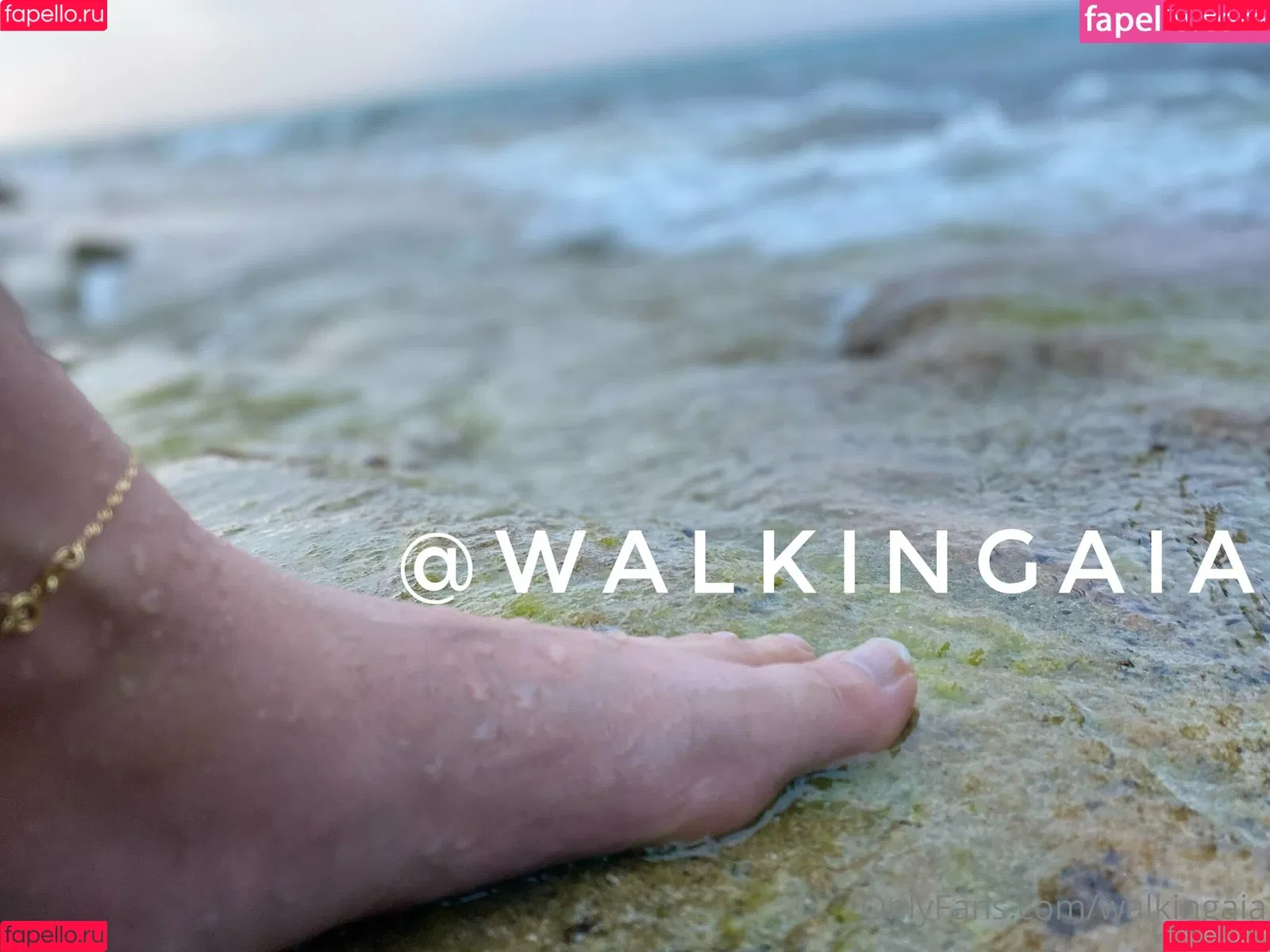 walkingaia Onlyfans Photo Gallery 