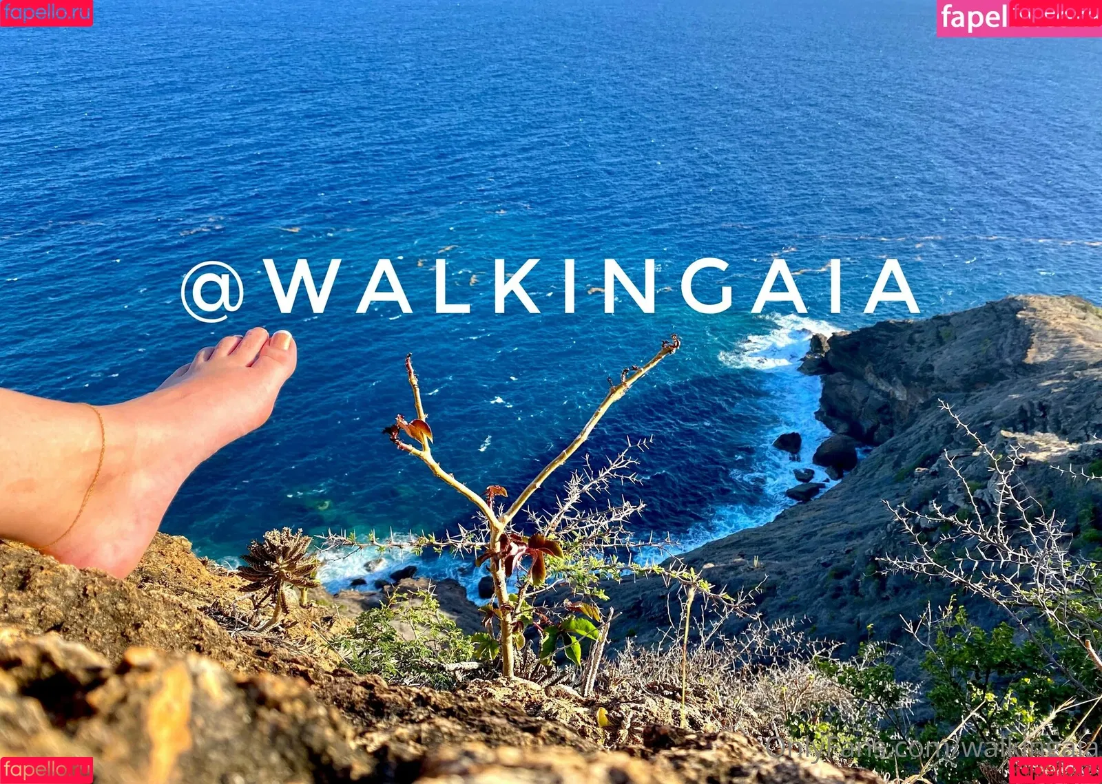 walkingaia Onlyfans Photo Gallery 