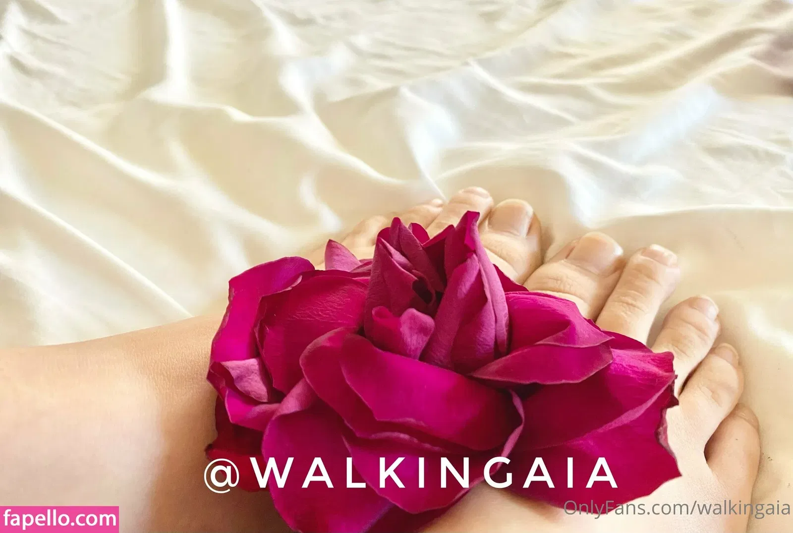 walkingaia Onlyfans Photo Gallery 