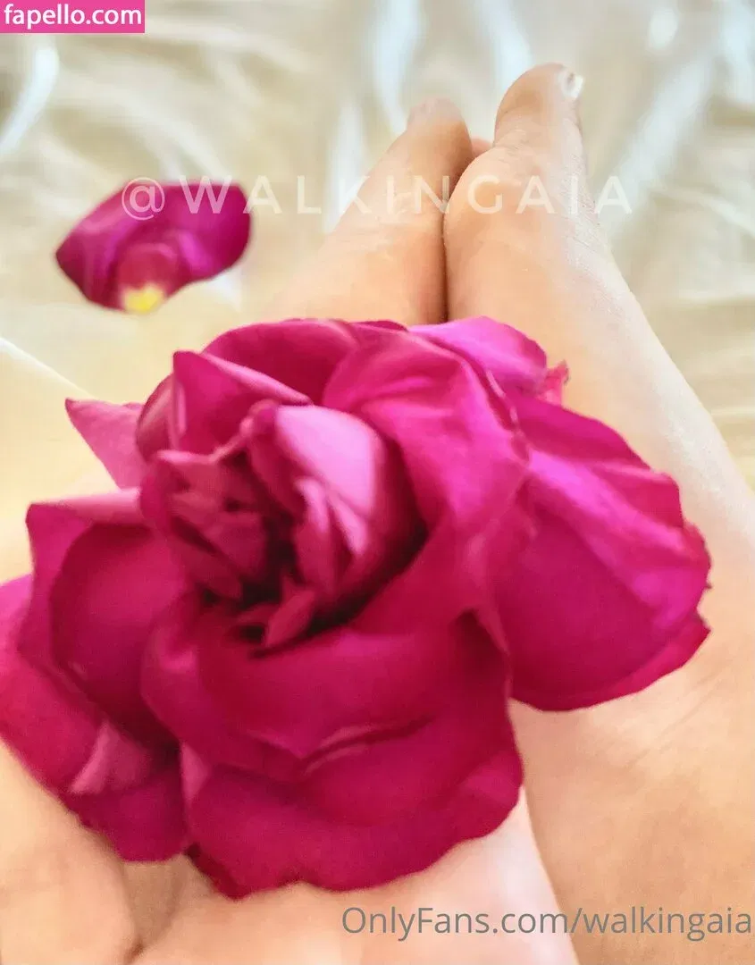 walkingaia Onlyfans Photo Gallery 