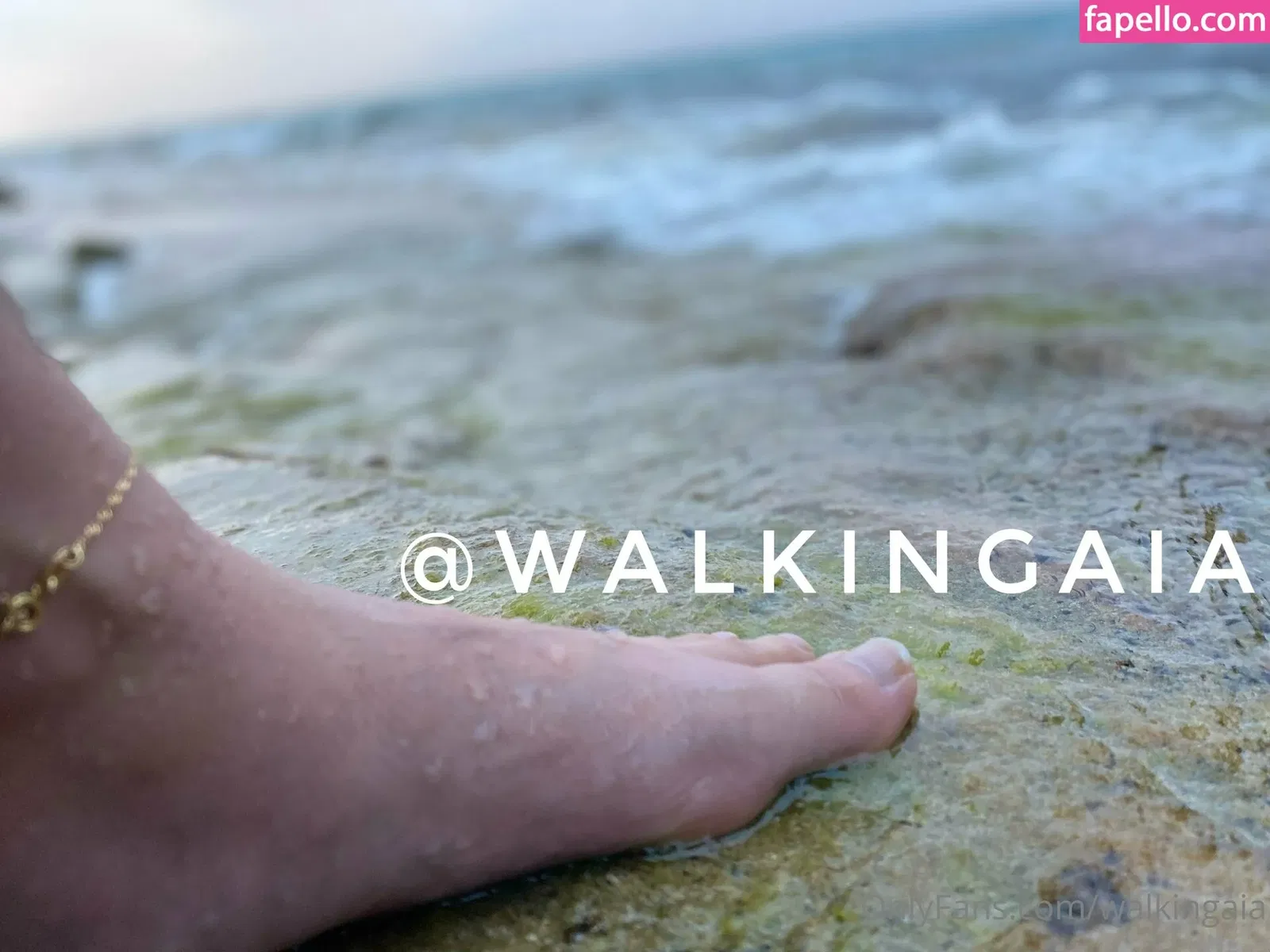walkingaia Onlyfans Photo Gallery 