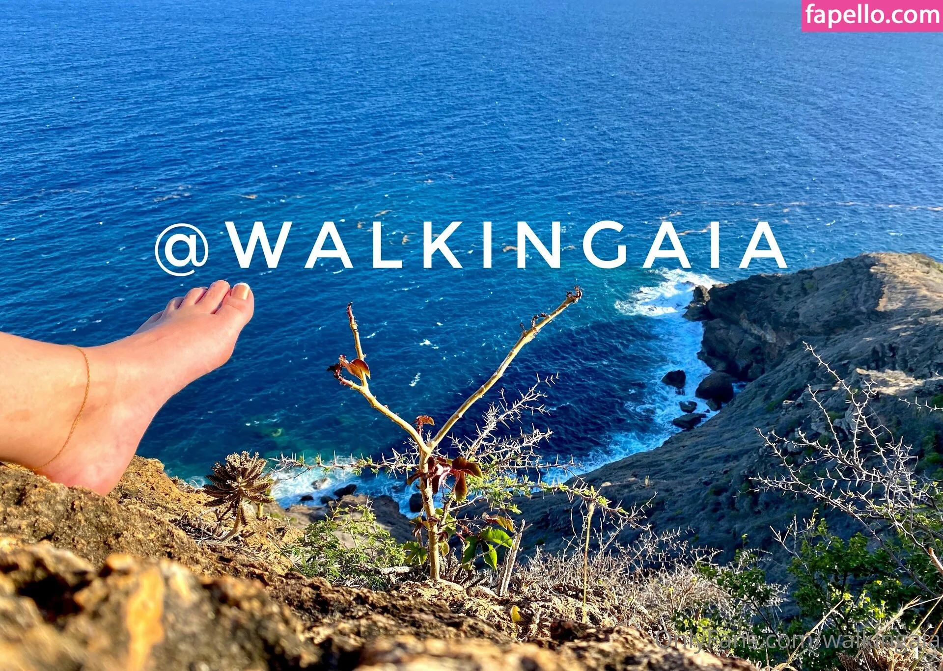 walkingaia Onlyfans Photo Gallery 