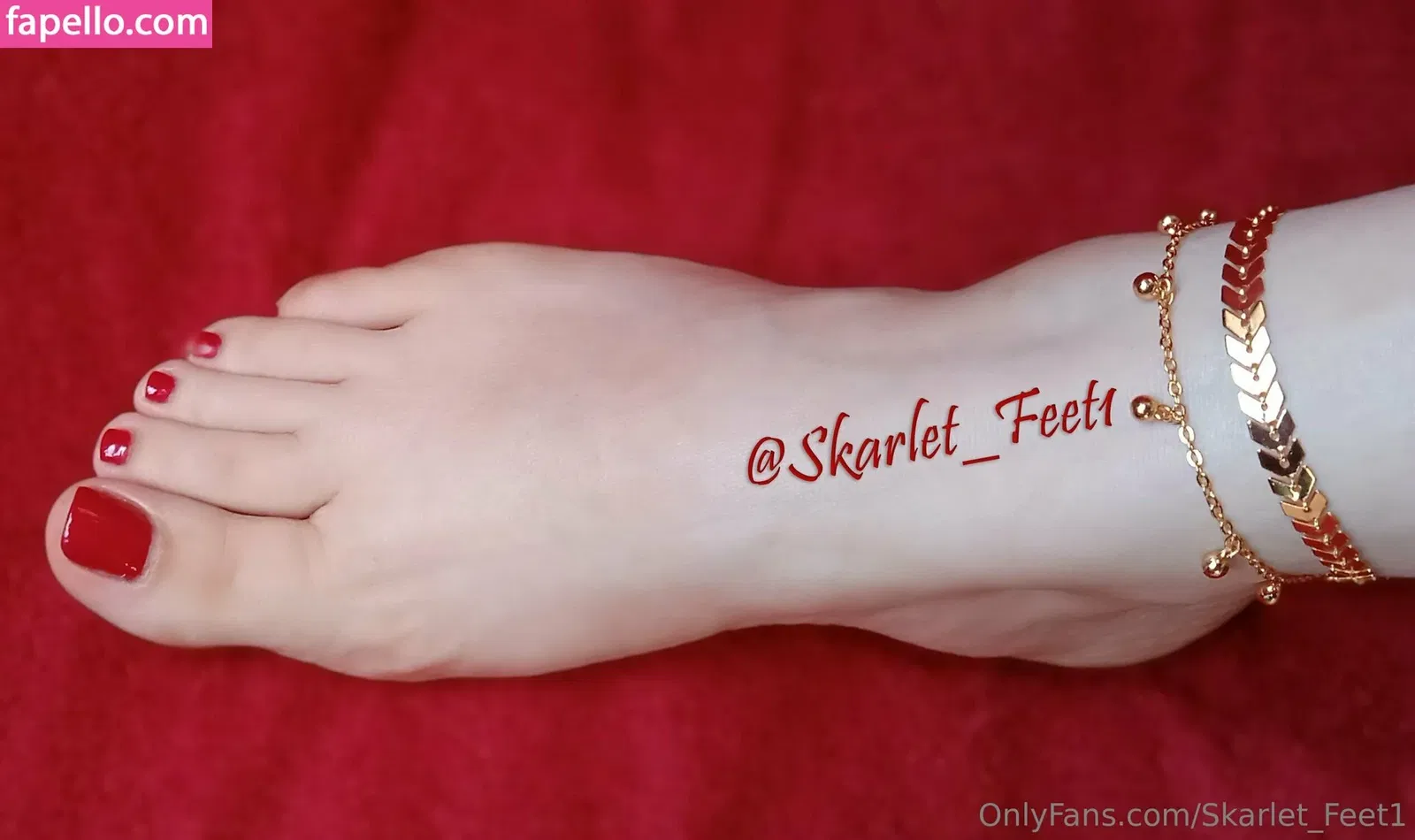 skarlet_feet1 Onlyfans Photo Gallery 