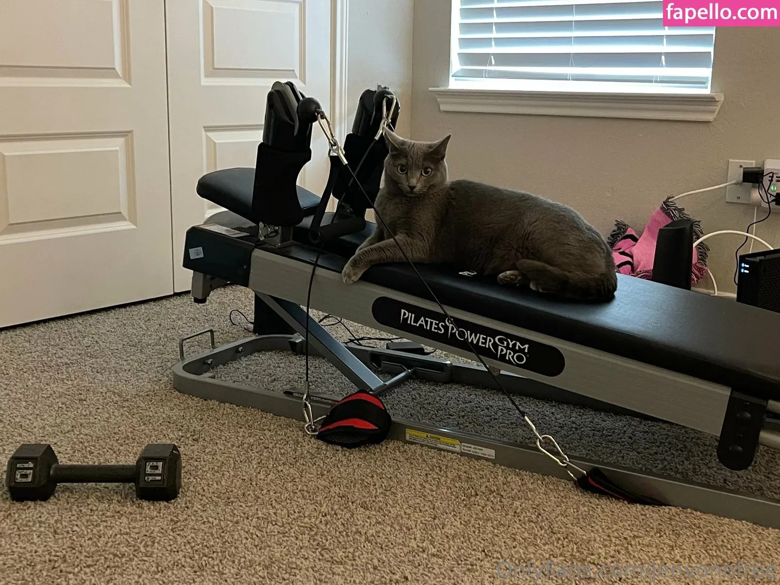 jenvonnfree Onlyfans Photo Gallery 