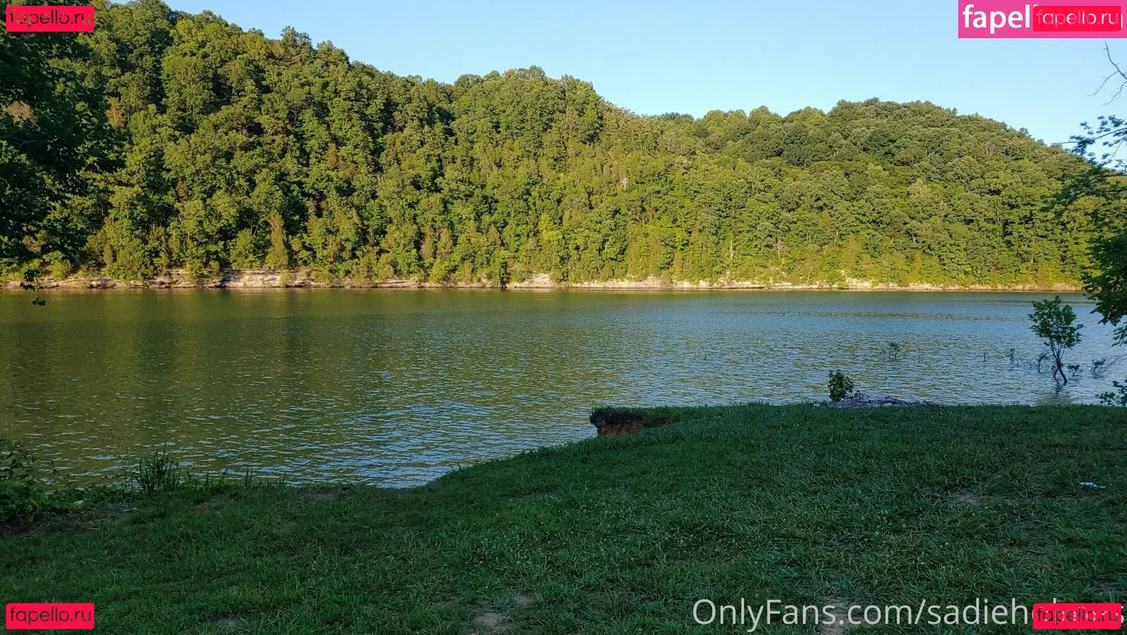 sadieholmesxxx Onlyfans Photo Gallery 