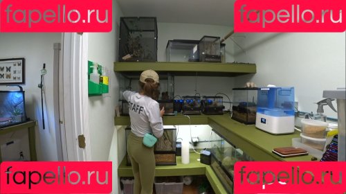 maya_higa Onlyfans Photo Gallery 