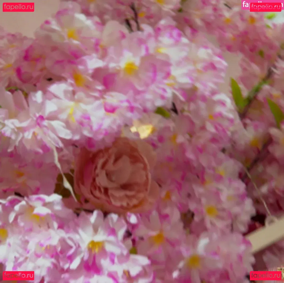 Brasileirinhas Onlyfans Photo Gallery 