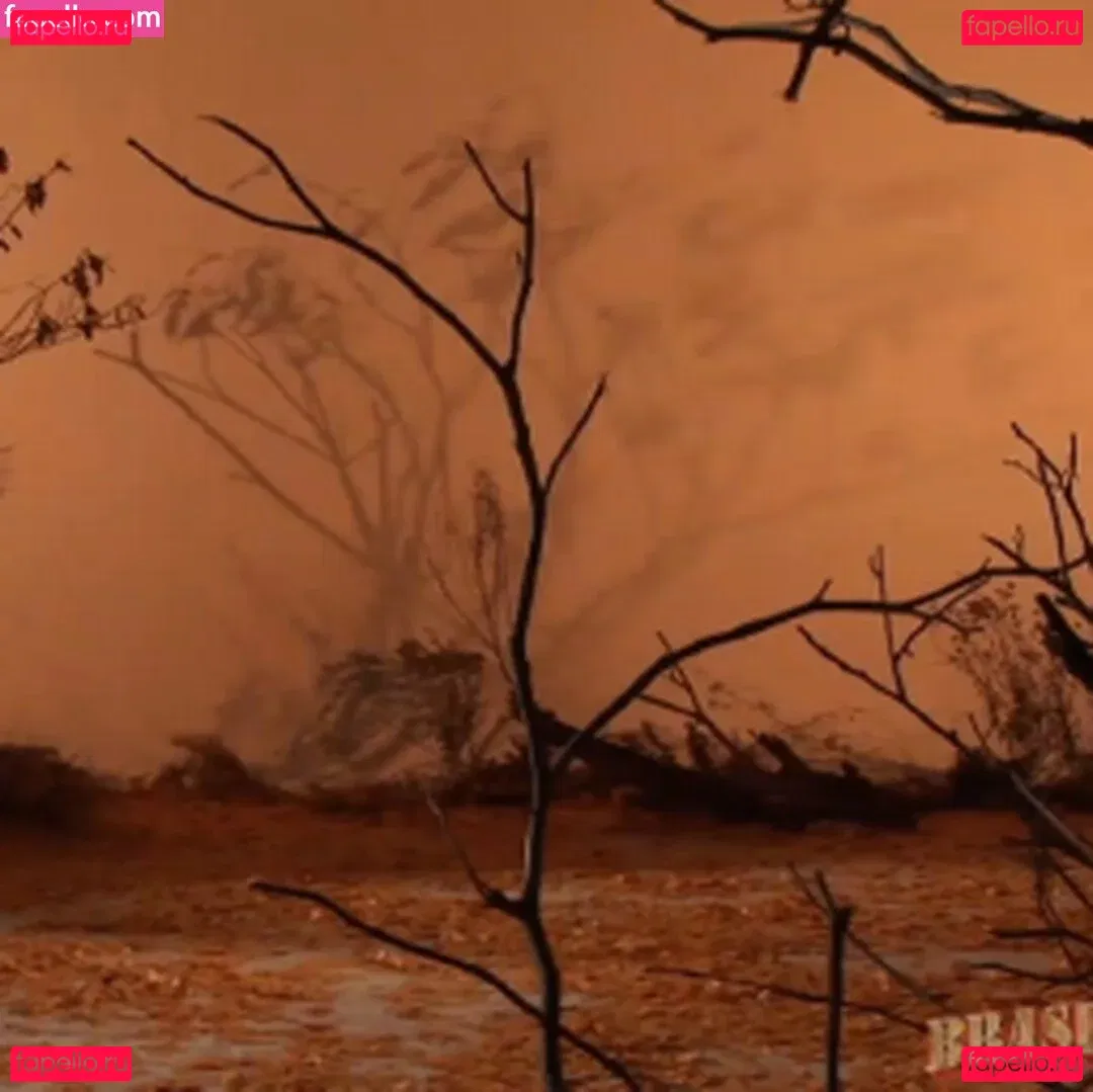 Brasileirinhas Onlyfans Photo Gallery 