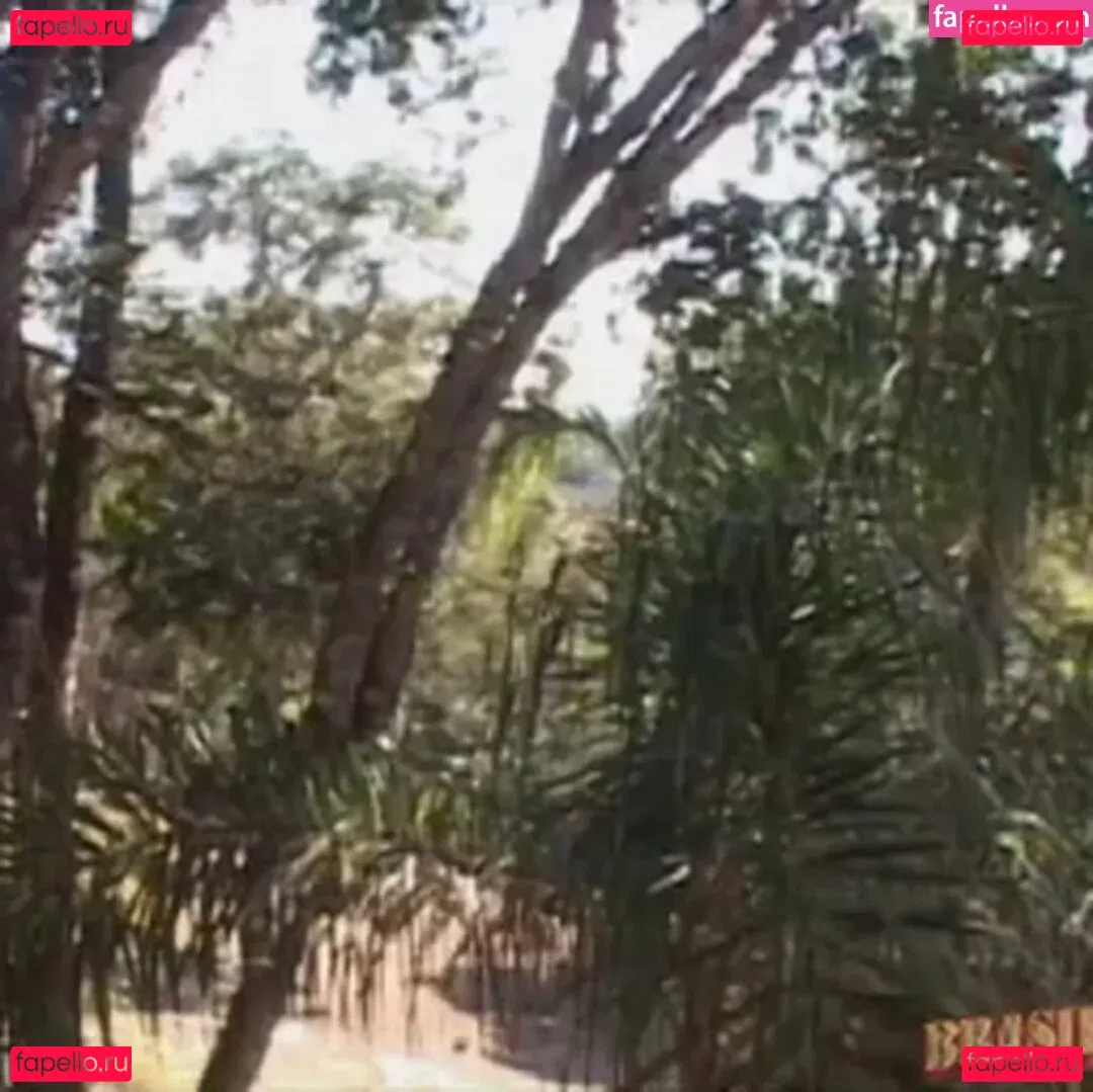 Brasileirinhas Onlyfans Photo Gallery 