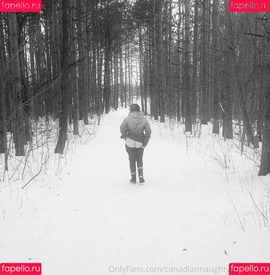 canadiancookingadventures / canadiannaughtyneighbour Nude Leaks OnlyFans Onlyfans Photo Gallery 
