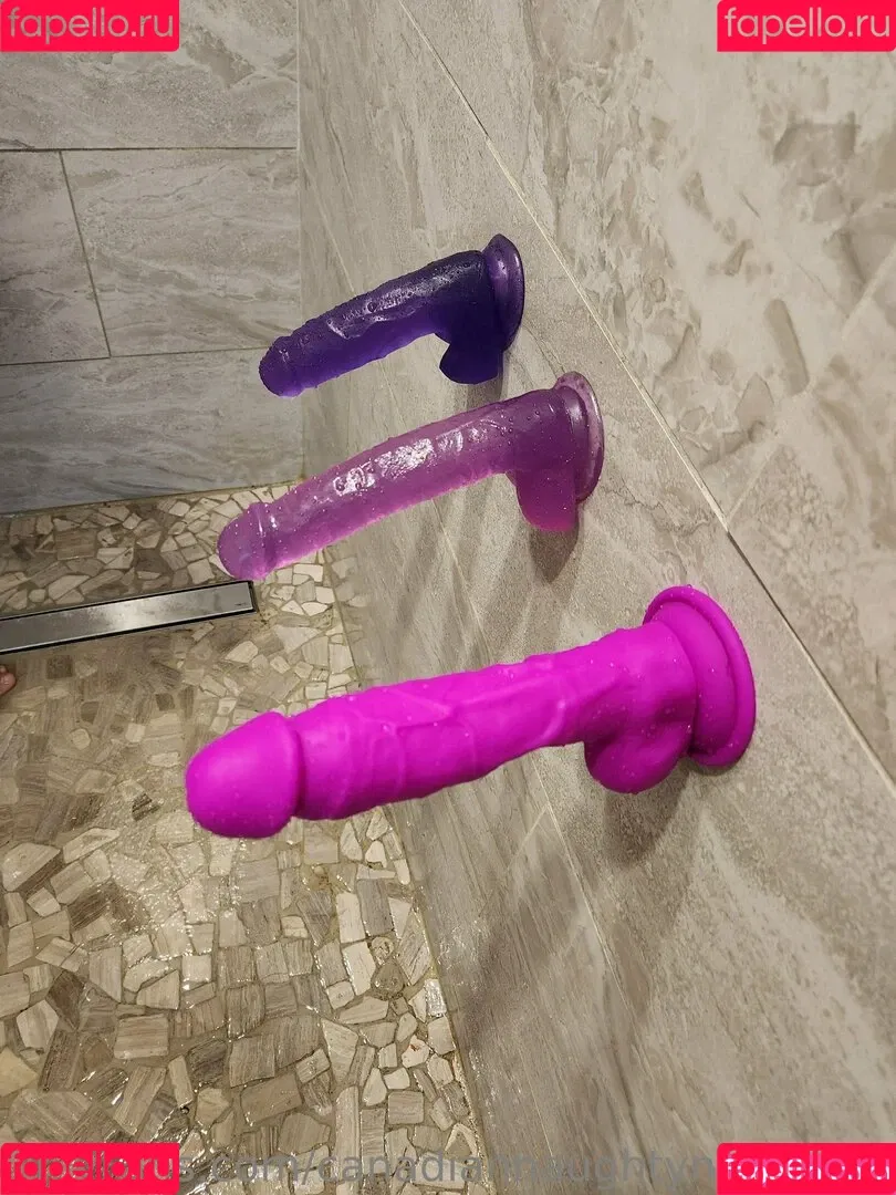 canadiancookingadventures / canadiannaughtyneighbour Nude Leaks OnlyFans Onlyfans Photo Gallery 