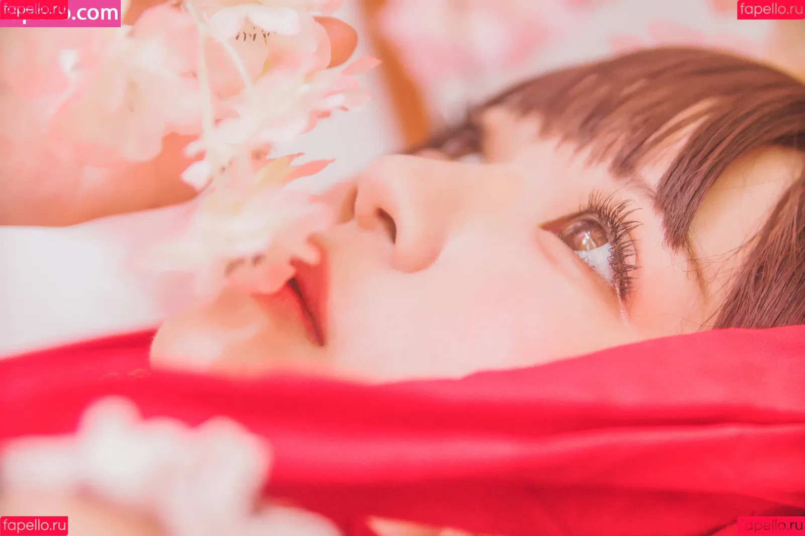 arrias / cherryneko0628 Onlyfans Photo Gallery 