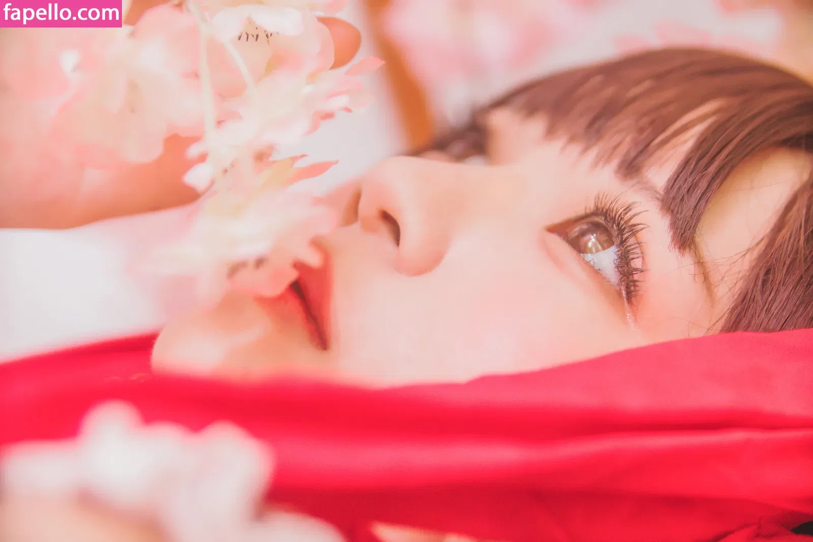 arrias / cherryneko0628 Onlyfans Photo Gallery 