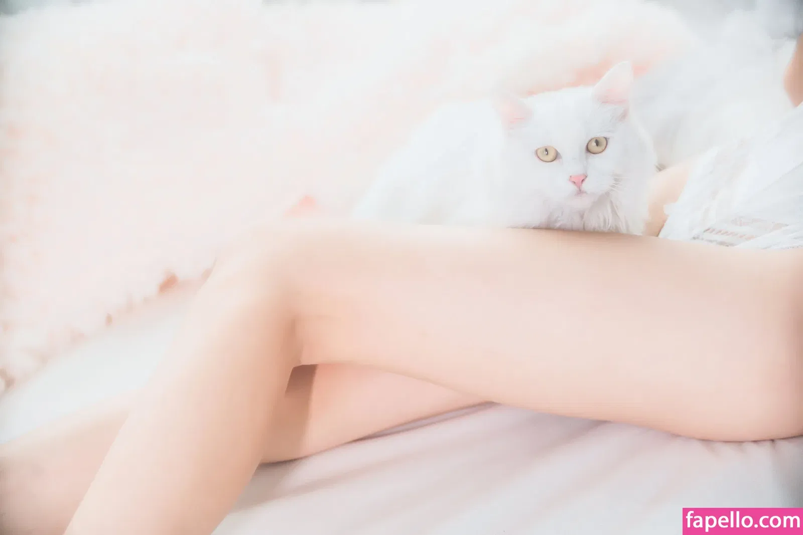 arrias / cherryneko0628 Onlyfans Photo Gallery 