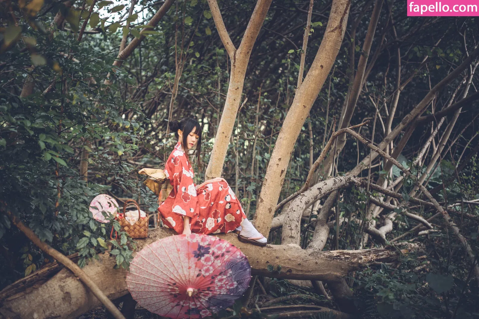 arrias / cherryneko0628 Onlyfans Photo Gallery 