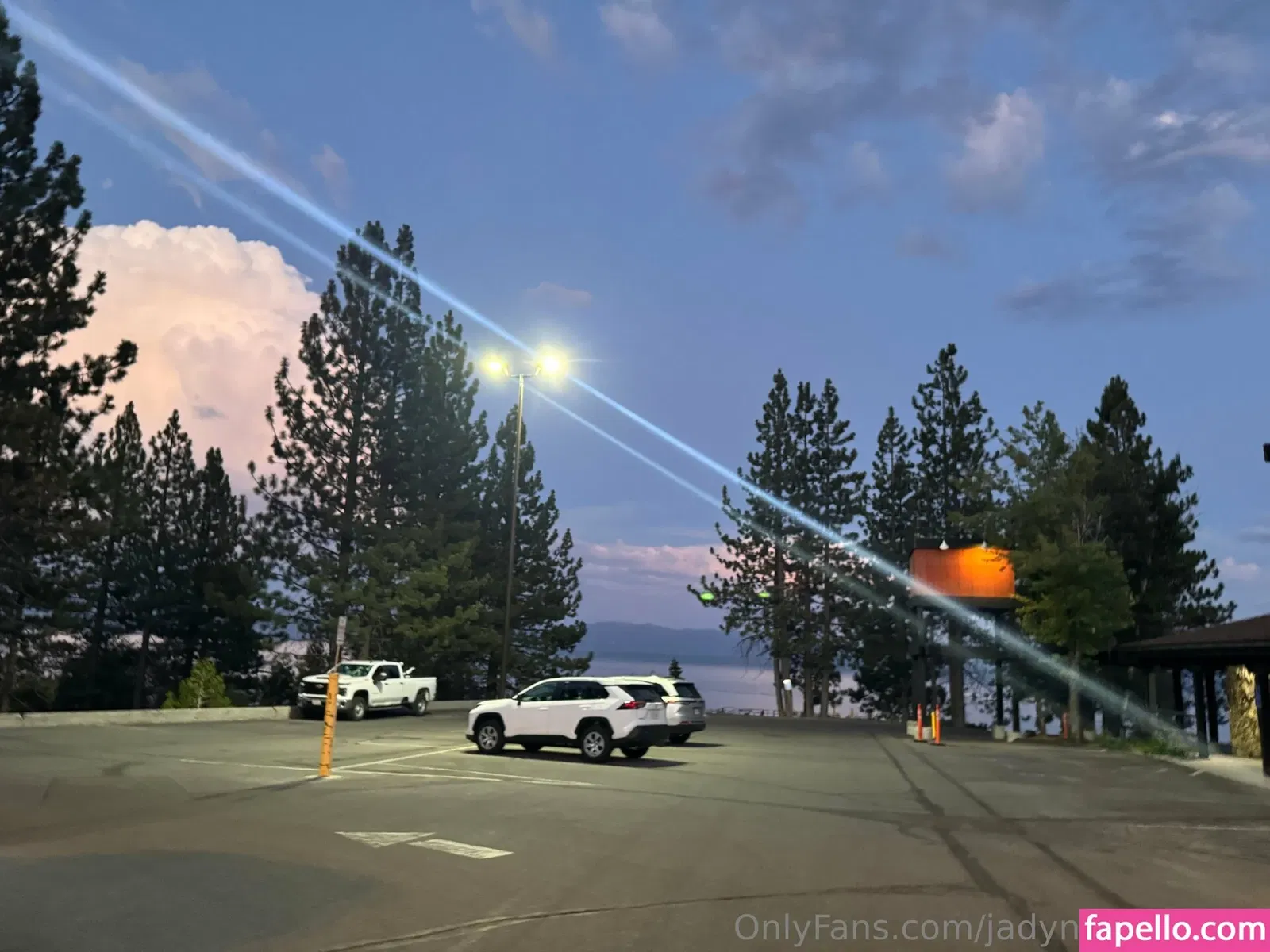 jadynnstonefree / jadynstone_ Onlyfans Photo Gallery 