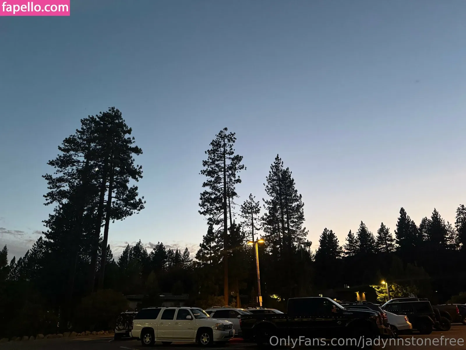 jadynnstonefree / jadynstone_ Onlyfans Photo Gallery 