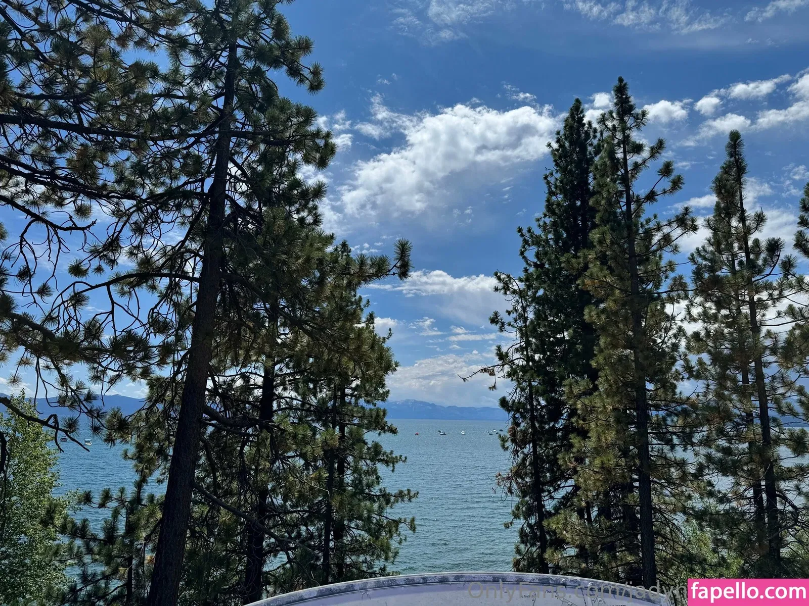 jadynnstonefree / jadynstone_ Onlyfans Photo Gallery 