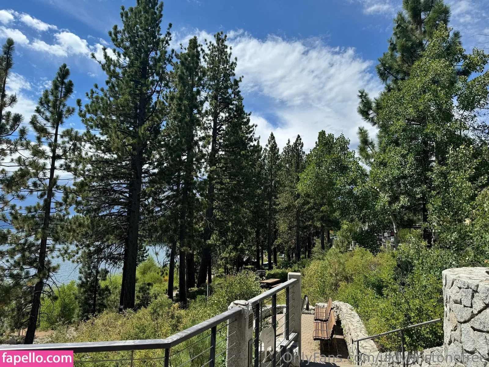 jadynnstonefree / jadynstone_ Onlyfans Photo Gallery 