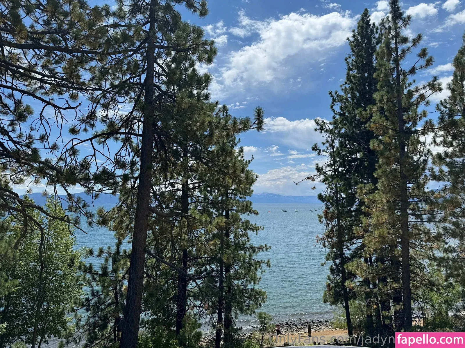 jadynnstonefree / jadynstone_ Onlyfans Photo Gallery 