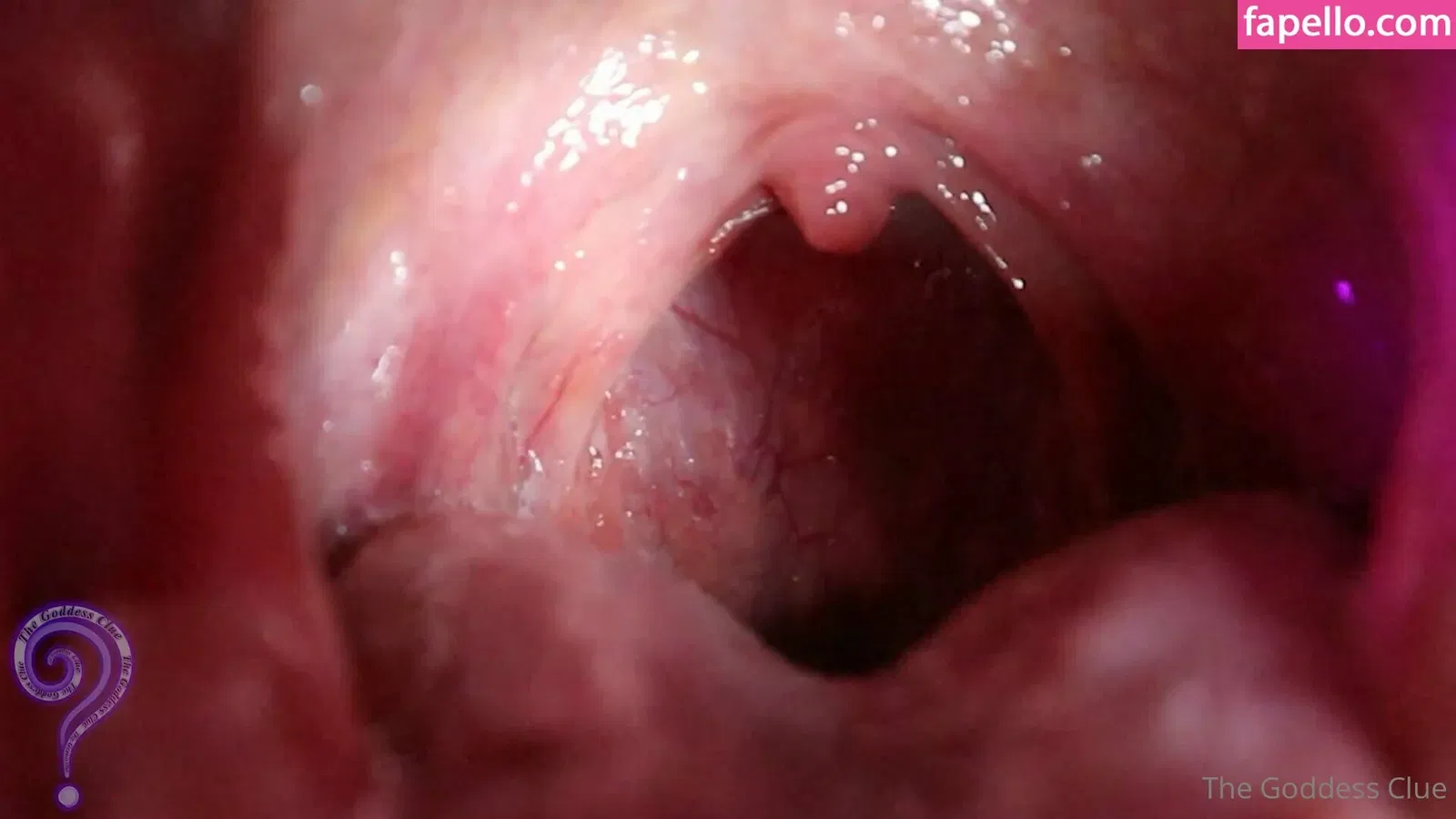 the-goddess-clue / theg0dd3ssclue Onlyfans Photo Gallery 